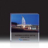 3767 3D레이저 문진 (80*80*30mm)