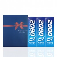 관공서 공공기관 선물세트 2080치약 3입