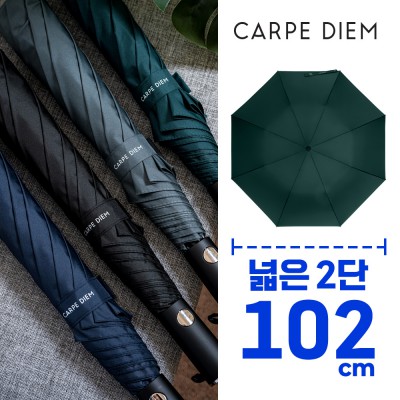 카르페디엠 스마트 58 2단우산 (S025)