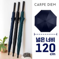 카르페디엠 베이직 70 장우산 (C102)