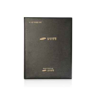 초코 보험화일