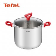 테팔 에디션 레드 인덕션 곰솥냄비22cm