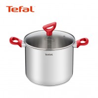 테팔 에디션 레드 인덕션 곰솥냄비22cm