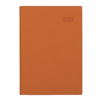 2025 AP13 스프링 다이어리 32절 - 오렌지