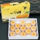 [더기다림과일] 배 선물세트 2호 7.5kg(11~13과)