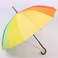 VT 55-14K곡자무지개