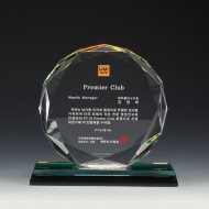 TS-1013 크리스탈 상패