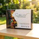 세인트나인 W 12구 (3피스) 세인트나인골프공 삼선골프공 컬러볼 화이트볼
