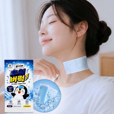 앗차거 아이스 냉감 쿨링 쿨패치 2매입 K2696